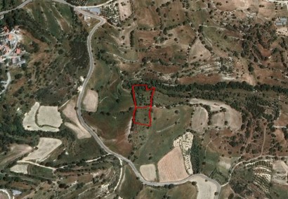 Dora, Limassol Agricultural Land For Sale | C3521