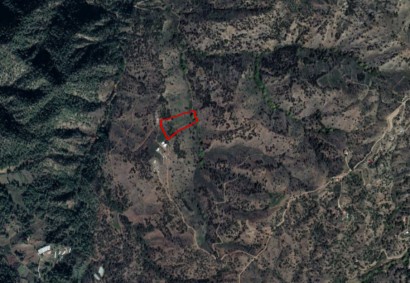 Foini, Limassol Agricultural Land For Sale | C3528