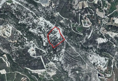 Silikou, Limassol Agricultural Land For Sale | C3554