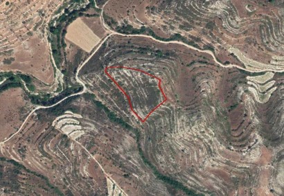 Pachna, Limassol Agricultural Land For Sale | C3563