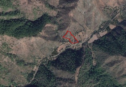 Pigenia, Nicosia Agricultural Land For Sale | C3589