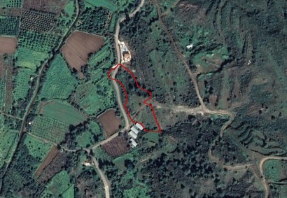Pyrgos Pano, Nicosia Agricultural Land For Sale | C3590