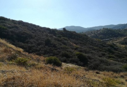 Pyrgos Pano, Nicosia Agricultural Land For Sale | C3597