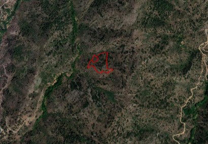 Palaichori Oreinis Agricultural Land For Sale | C3620