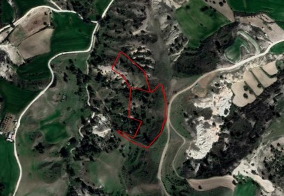 Episkopeio, Nicosia Agricultural Land For Sale | C3634