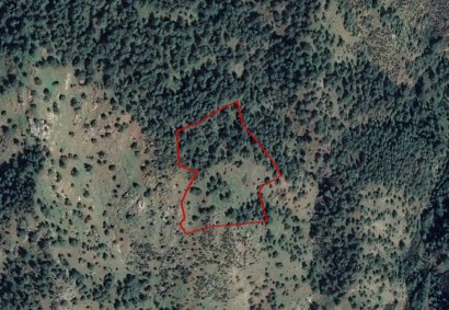 Pigenia, Nicosia Agricultural Land For Sale | C3658