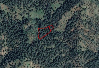 Pigenia, Nicosia Agricultural Land For Sale | C3709