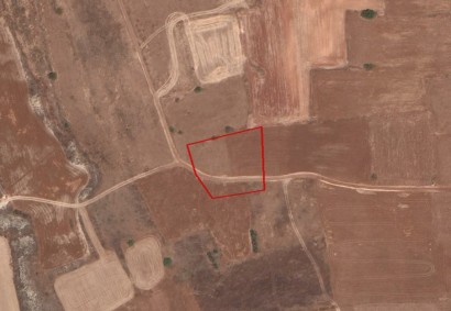 Palaiometocho, Nicosia Agricultural Land For Sale | C3725