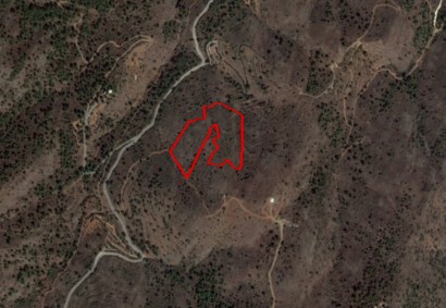 Fikardou, Nicosia Agricultural Land For Sale | C3735