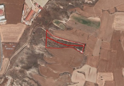 Agioi Trimithias Agricultural Land For Sale | C3754