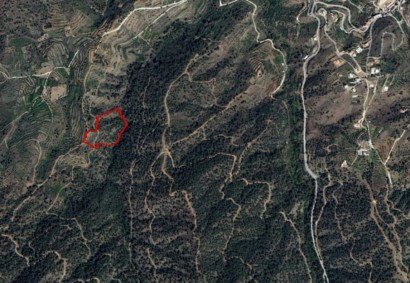 Xyliatos, Nicosia Agricultural Land For Sale | C3818