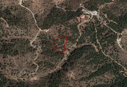 Agios Epifanios Oreinis Agricultural Land For Sale | C3948