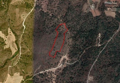 Fikardou, Nicosia Agricultural Land For Sale | C3974