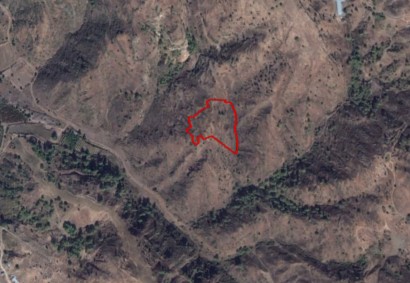 Pigenia, Nicosia Agricultural Land For Sale | C4118