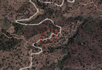 Fterikoudi, Nicosia Agricultural Land For Sale | C4174