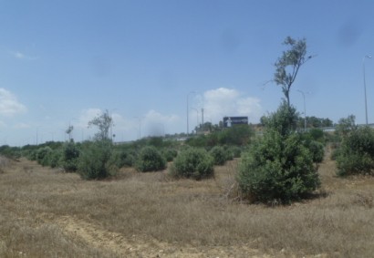 Nisou, Nicosia Industrial Land For Sale | C4233