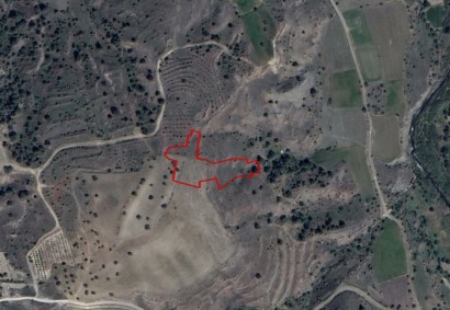 Agia Marina Xyliatou Agricultural Land For Sale | C4260