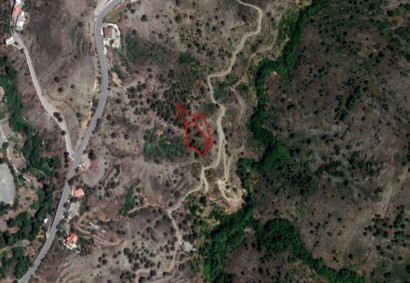 Palaichori Oreinis Agricultural Land For Sale | C4303