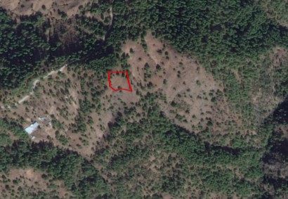 Pigenia, Nicosia Agricultural Land For Sale | C4327