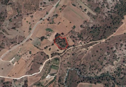 Politiko, Nicosia Agricultural Land For Sale | C4342