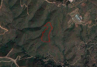Lythrodontas, Nicosia Agricultural Land For Sale | C4351