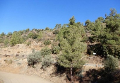 Kalo Chorio Lemesou Agricultural Land For Sale | C5509