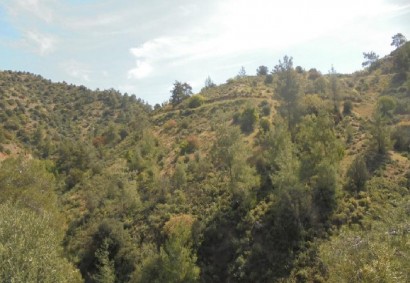 Kalo Chorio Lemesou Agricultural Land For Sale | C5510
