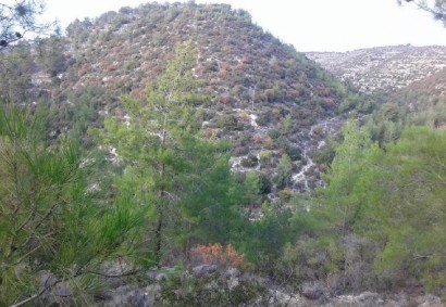 Agios Therapon, Limassol Agricultural Land For Sale | C5520