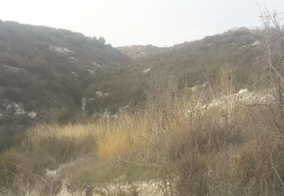 Koilani, Limassol Agricultural Land For Sale | C5545