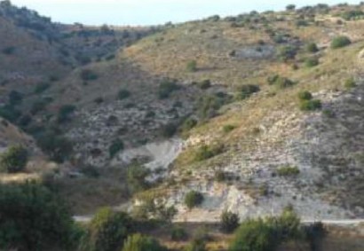 Nata, Paphos Agricultural Land For Sale | C5601