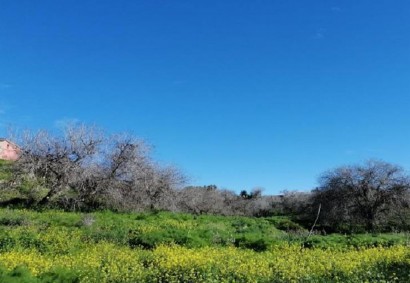 Tremithousa, Paphos Residential Land For Sale | C5627