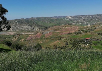 Choletria, Paphos Agricultural Land For Sale | C5629
