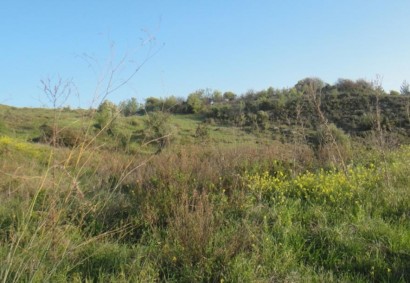 Pentalia, Paphos Residential Land For Sale | C5667