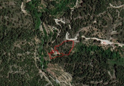 Agridia, Limassol Agricultural Land For Sale | C5790