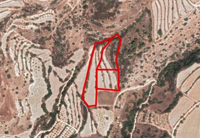 Amargeti, Paphos Agricultural Land For Sale | C5800