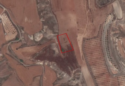 Palaiometocho, Nicosia Agricultural Land For Sale | C5820