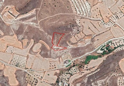 Alampra, Nicosia Agricultural Land For Sale | C5828