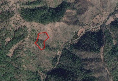 Pigenia, Nicosia Agricultural Land For Sale | C5830