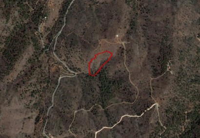 Fikardou, Nicosia Agricultural Land For Sale | C5833