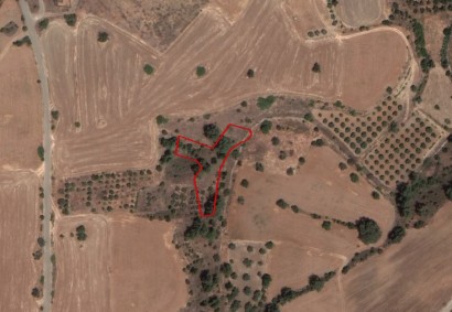 Mitsero, Nicosia Agricultural Land For Sale | C6140