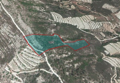 Kapileio, Limassol Agricultural Land For Sale | C6485