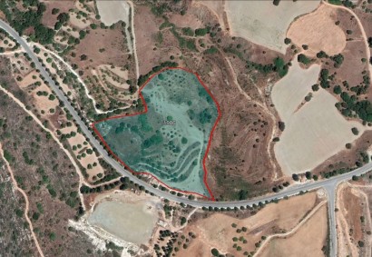 Meladeia, Paphos Agricultural Land For Sale | C6555