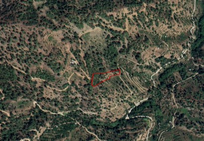 Gerakies, Nicosia Agricultural Land For Sale | C7179