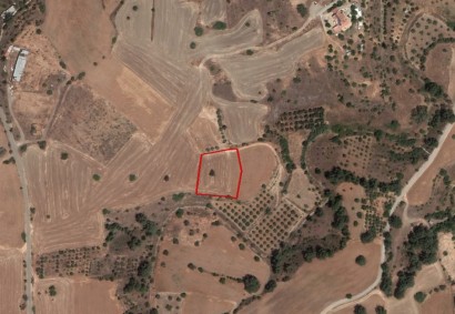 Mitsero, Nicosia Agricultural Land For Sale | C7181