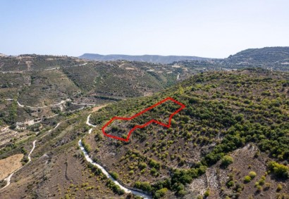 Dora, Limassol Agricultural Land For Sale | C7280