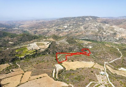 Dora, Limassol Agricultural Land For Sale | C7281