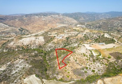 Dora, Limassol Agricultural Land For Sale | C7282