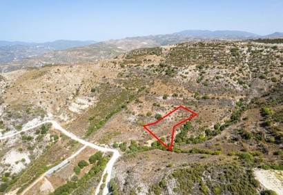 Dora, Limassol Agricultural Land For Sale | C7284