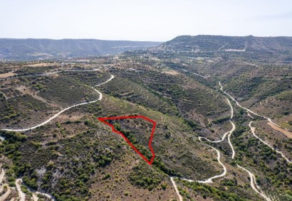 Dora, Limassol Agricultural Land For Sale | C7287