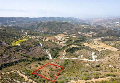 Dora, Limassol Agricultural Land For Sale | C7288